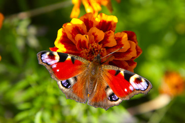 Similar image 22285647