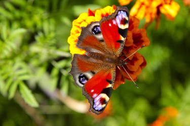 Similar image 22285648