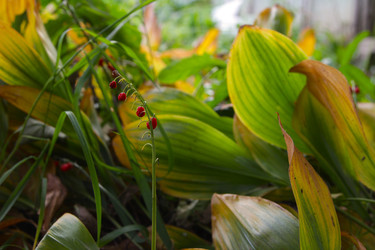 Similar image 22285649