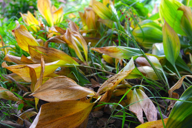 Similar image 22285650