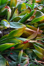 Similar image 22285651