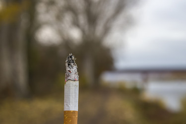 Similar image 22285652