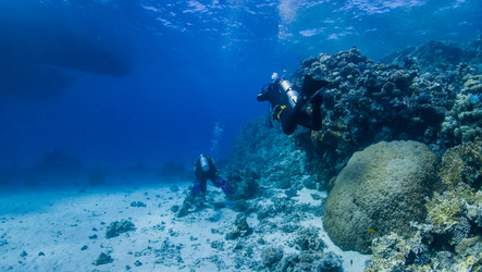 Similar image 22285655