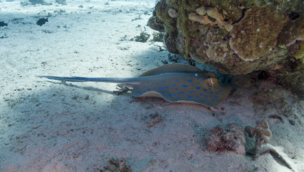 Similar image 22285657