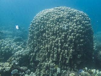 Similar image 22285658