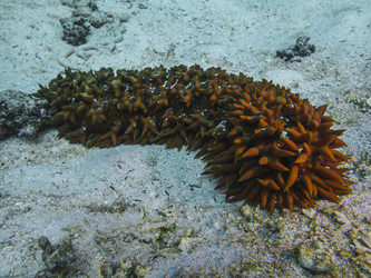 Similar image 22285659