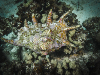 Similar image 22285660