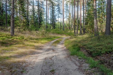 Similar image 22285663