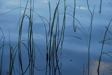 Similar image 22285675