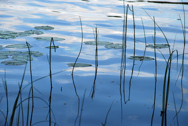 Similar image 22285676