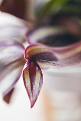 Similar image 22287830