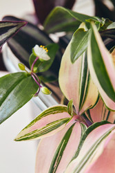 Similar image 22287831