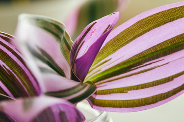 Similar image 22287832