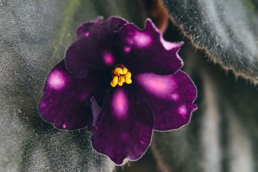 Similar image 22289151