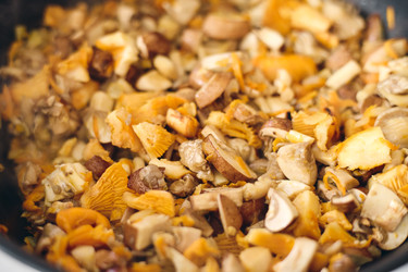 Similar image 22289152