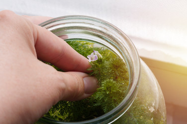 Similar image 22287404