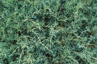 Similar image 22289168