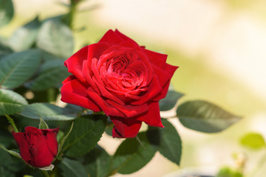 Similar image 22289169