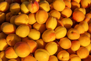 Similar image 22289170