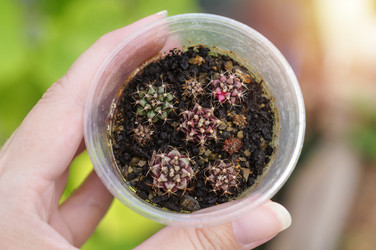 Similar image 22285691