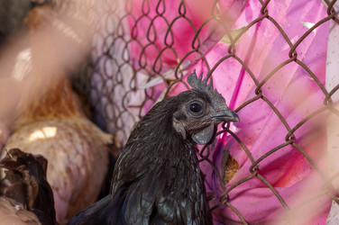 Similar image 22289171