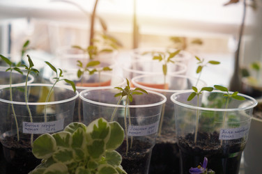 Similar image 22285692