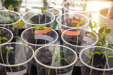 Similar image 22285693