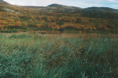 Similar image 22285877