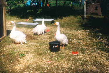 Similar image 22285879