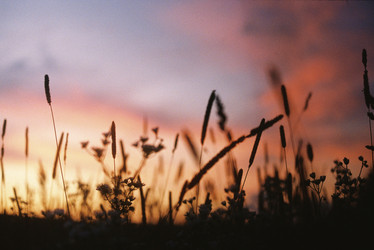 Similar image 22285880