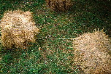 Similar image 22285881