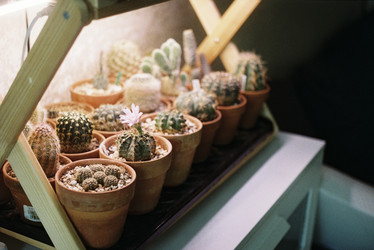 Similar image 22285884