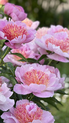 Similar image 22285886