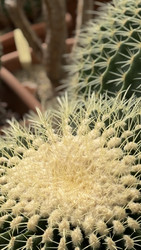 Similar image 22285890