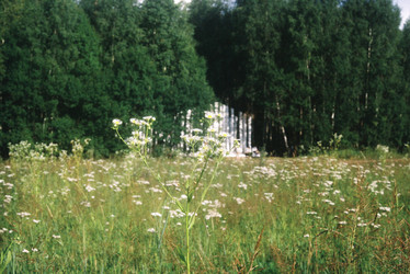 Similar image 22285896