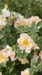 Similar image 22285902