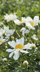 Similar image 22285903