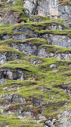 Similar image 22285905