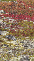 Similar image 22285906