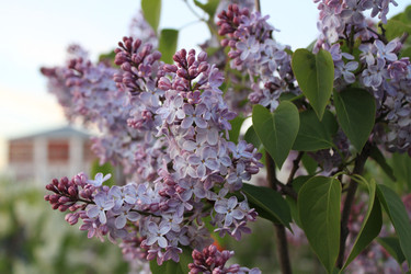 Similar image 22285696