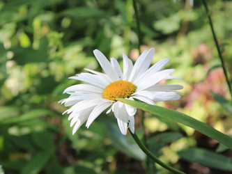 Similar image 22285700