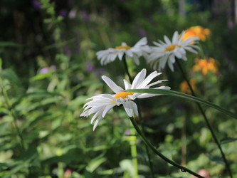 Similar image 22285701