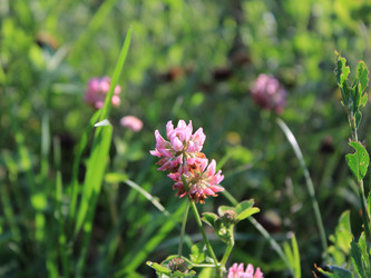 Similar image 22285704