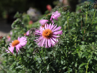 Similar image 22285705