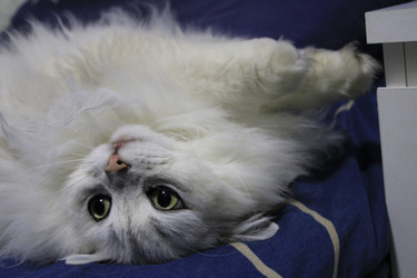 Similar image 22285706