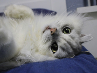 Similar image 22285707