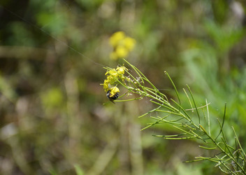 Similar image 22285709