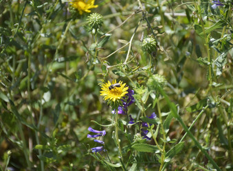 Similar image 22285710