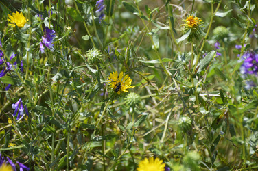 Similar image 22285712