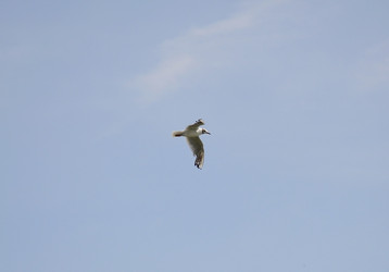 Similar image 22285713